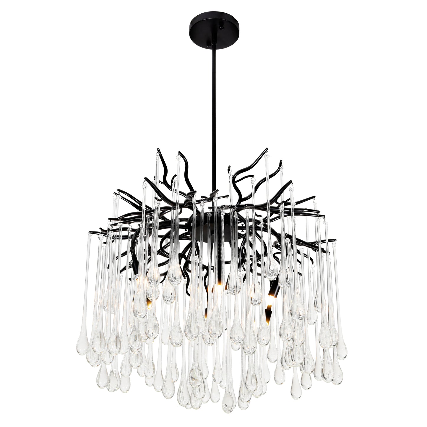 26" Anita 6 Light Chandelier With Black Finish