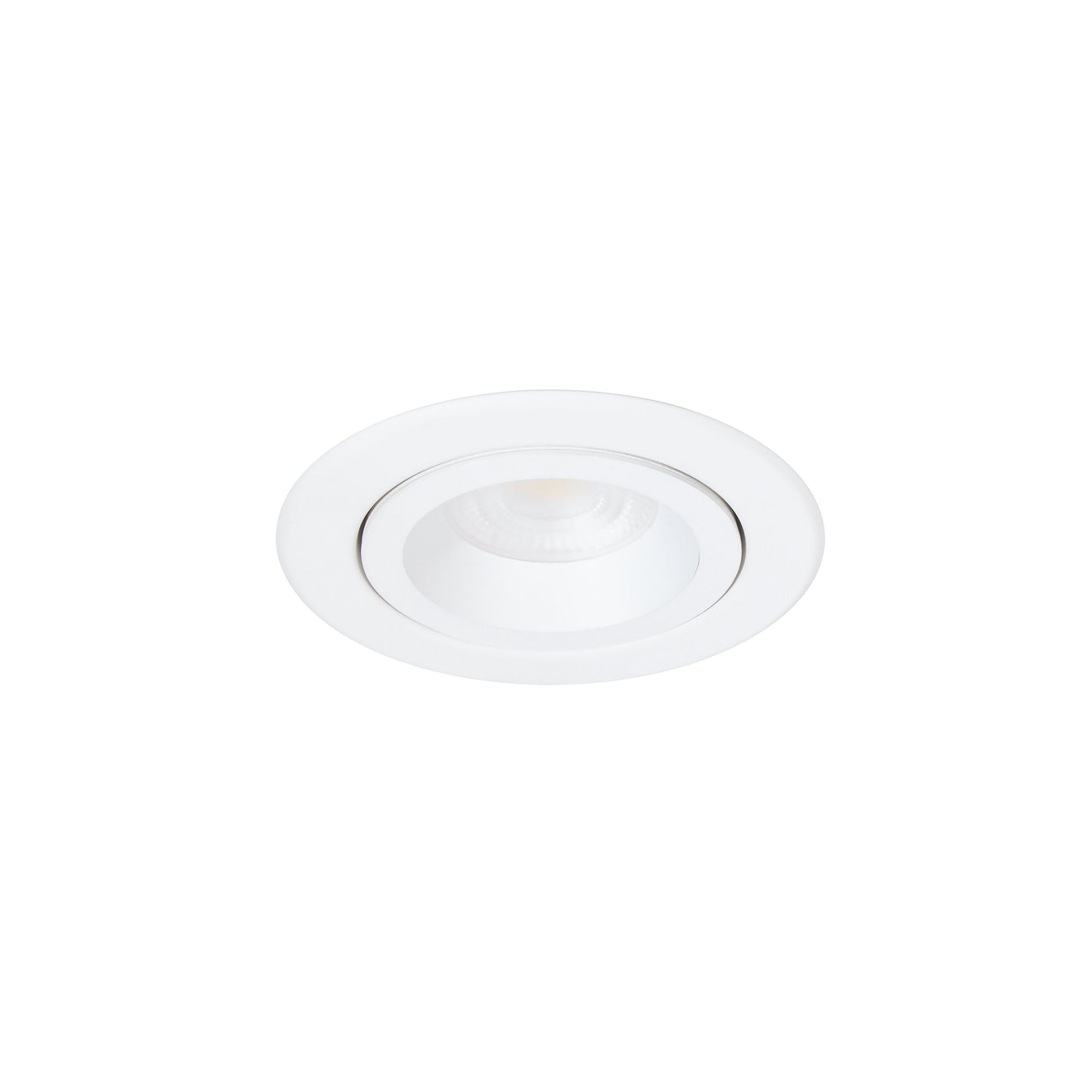 4" Fire Rated Adjustable Downlight 5CCT